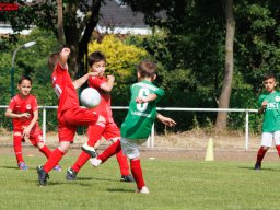 Hillen Cup 2024